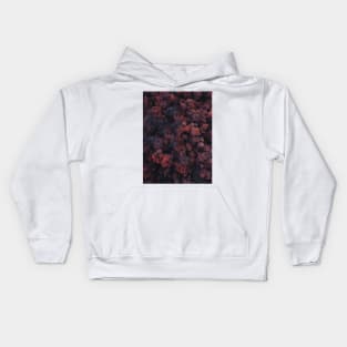 The Red Forest Kids Hoodie